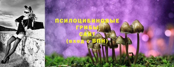 прущая мука Аркадак