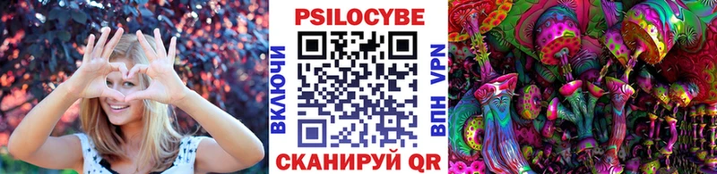 магазин продажи   Ржев  Галлюциногенные грибы ЛСД 